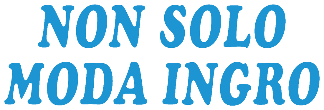 Non Solo Moda Ingro Logo